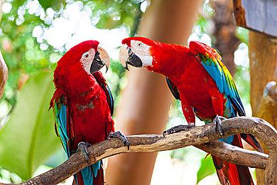 EA下一代《战地》或有更好的破坏效果